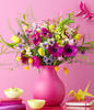 Avatar von Rubinia