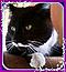 Avatar von catwoman67